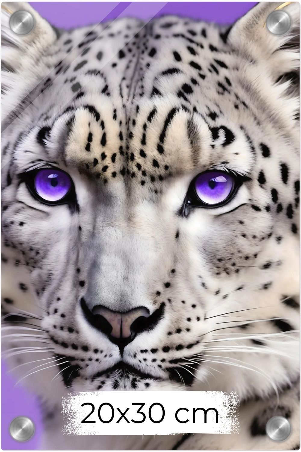 Detailliertes Porträt eines Schneeleoparden mit intensiv leuchtenden violetten Augen vor einem fliederfarbenen Hintergrund. Acryl 20x30 cm