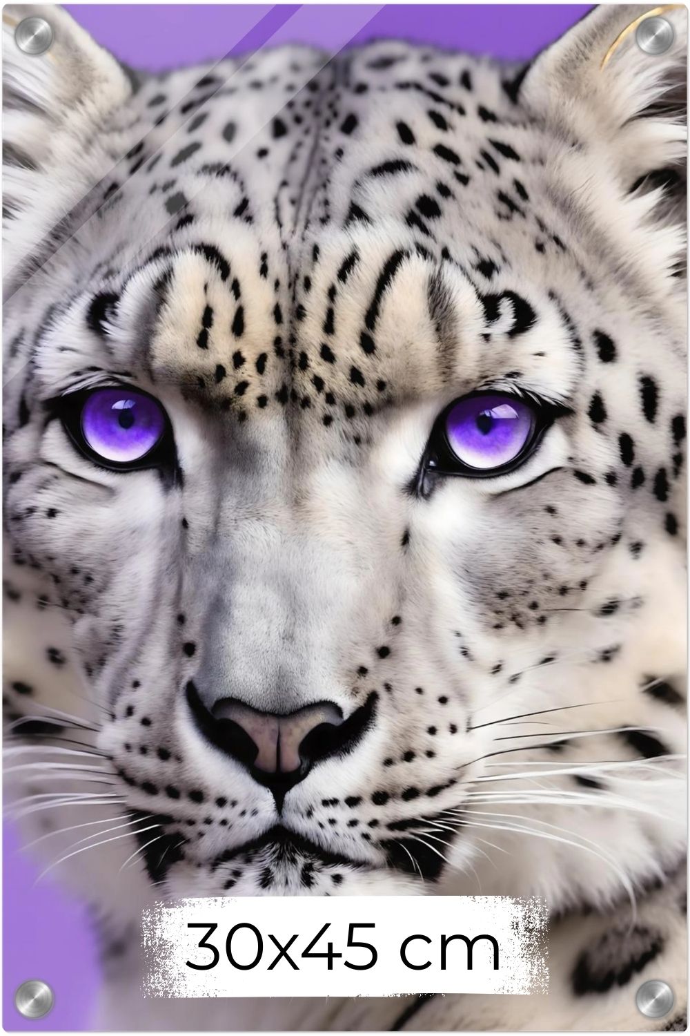 Detailliertes Porträt eines Schneeleoparden mit intensiv leuchtenden violetten Augen vor einem fliederfarbenen Hintergrund. Acryl 30x45 cm