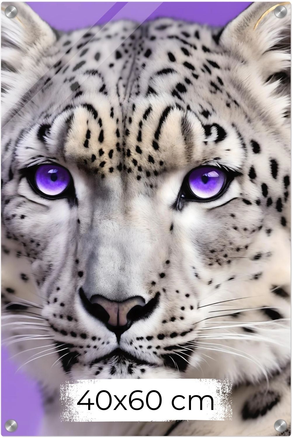 Detailliertes Porträt eines Schneeleoparden mit intensiv leuchtenden violetten Augen vor einem fliederfarbenen Hintergrund. Acryl 40x60 cm