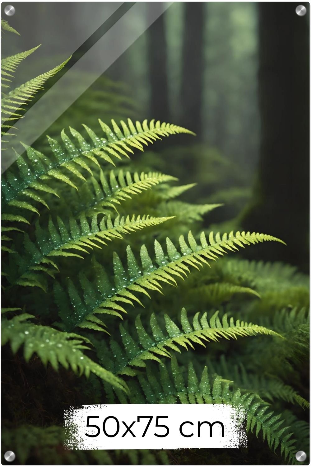 Nahaufnahme von grünen Farnwedeln mit Tautropfen in einem dichten, nebligen Wald mit weichem Hintergrund. Acryl 50x75 cm