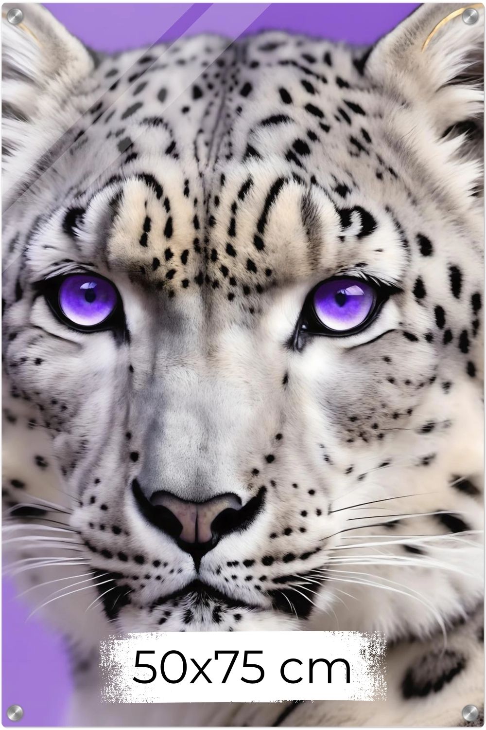 Detailliertes Porträt eines Schneeleoparden mit intensiv leuchtenden violetten Augen vor einem fliederfarbenen Hintergrund. Acryl 50x75 cm