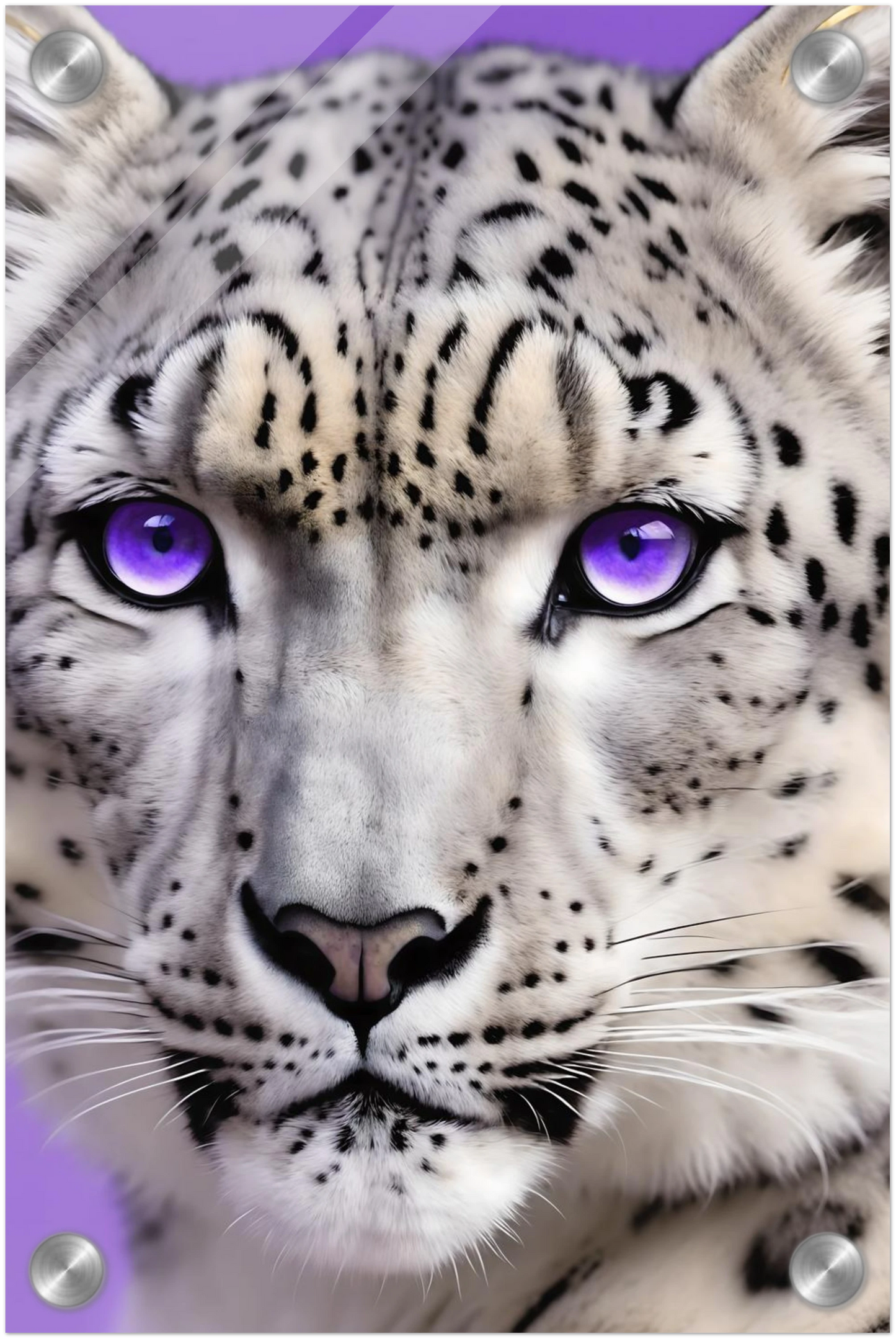Nahaufnahme eines Schneeleoparden-Gesichts mit auffälligen, leuchtend violetten Augen vor einem hellvioletten Hintergrund. 20x30 cm. Acryl