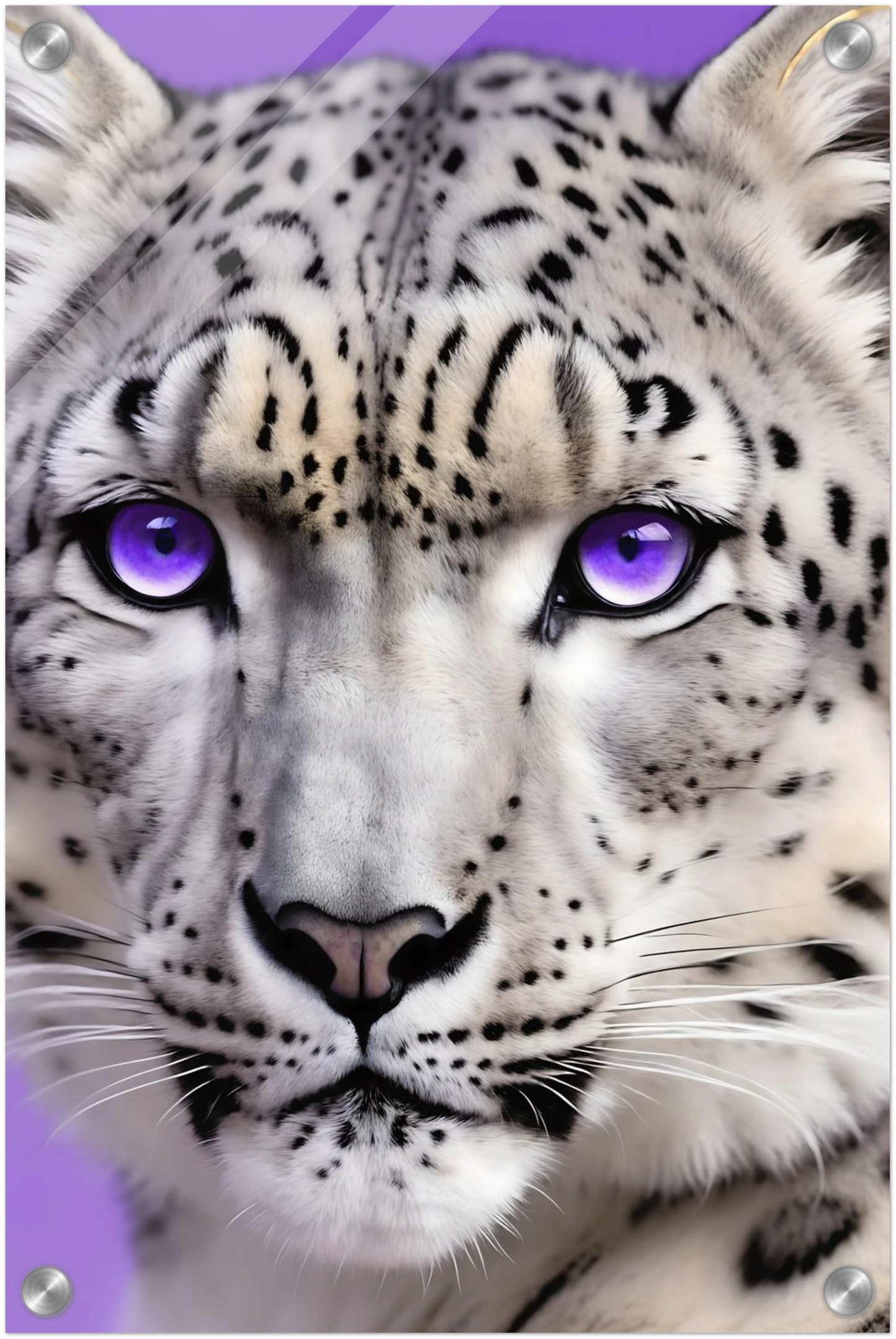 Nahaufnahme eines Schneeleoparden-Gesichts mit auffälligen, leuchtend violetten Augen vor einem hellvioletten Hintergrund. 30x45 cm. Acryl