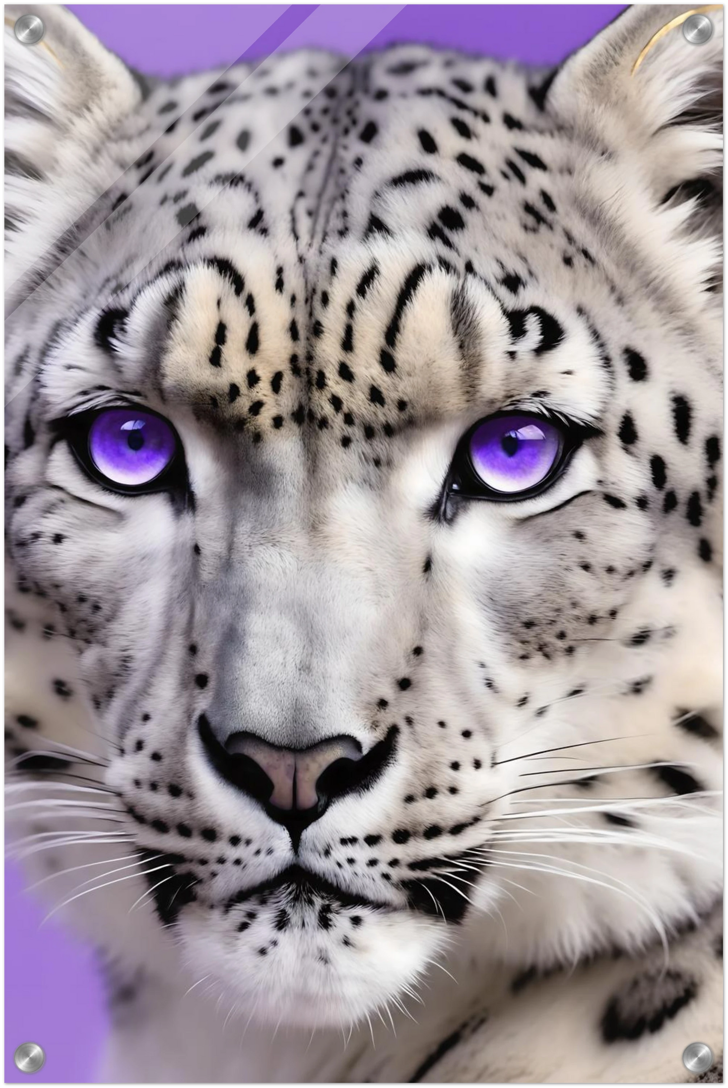 Nahaufnahme eines Schneeleoparden-Gesichts mit auffälligen, leuchtend violetten Augen vor einem hellvioletten Hintergrund. 40x60 cm. Acryl
