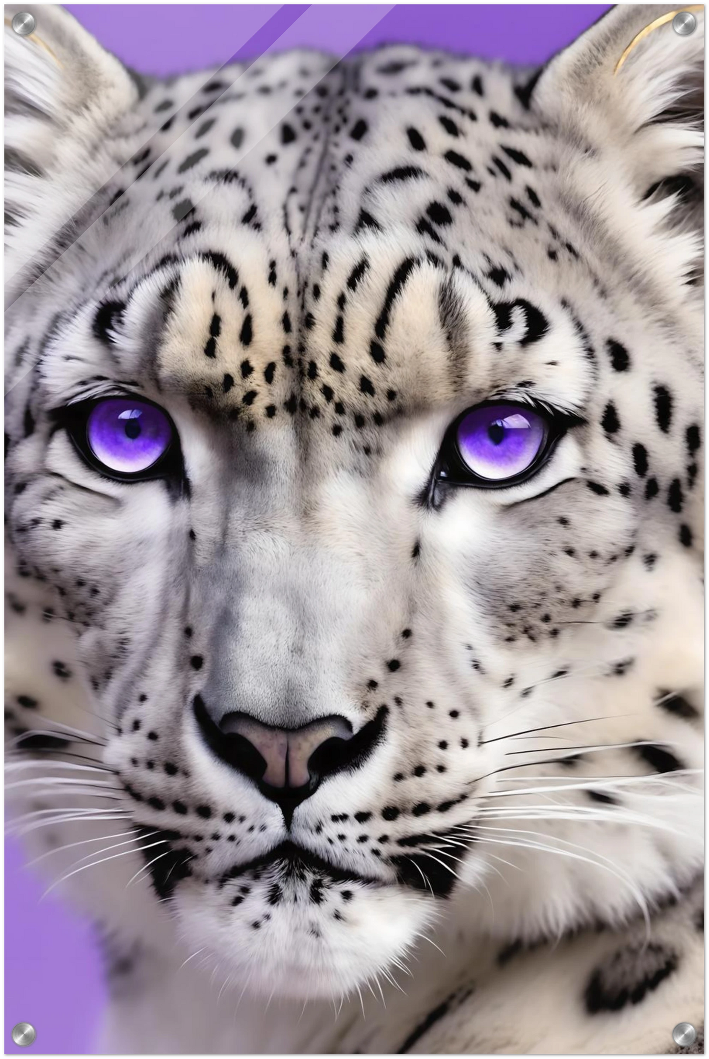 Nahaufnahme eines Schneeleoparden-Gesichts mit auffälligen, leuchtend violetten Augen vor einem hellvioletten Hintergrund. 50x75 cm. Acryl