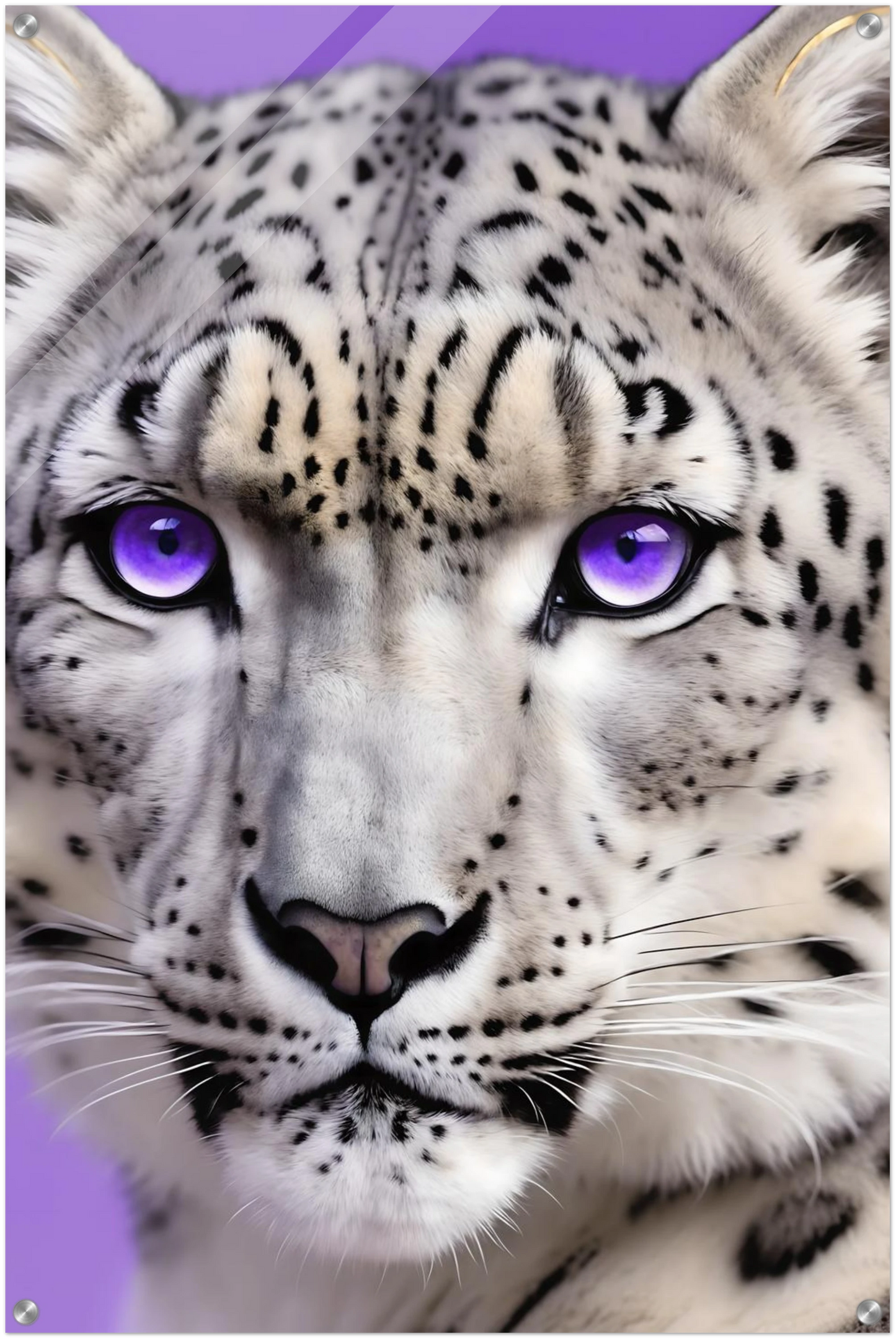 Nahaufnahme eines Schneeleoparden-Gesichts mit auffälligen, leuchtend violetten Augen vor einem hellvioletten Hintergrund. 60x90 cm. Acryl